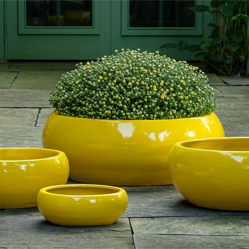 yellow planter pots outdoor Campania Sasha Planter, Set of 4 - 1002-22504