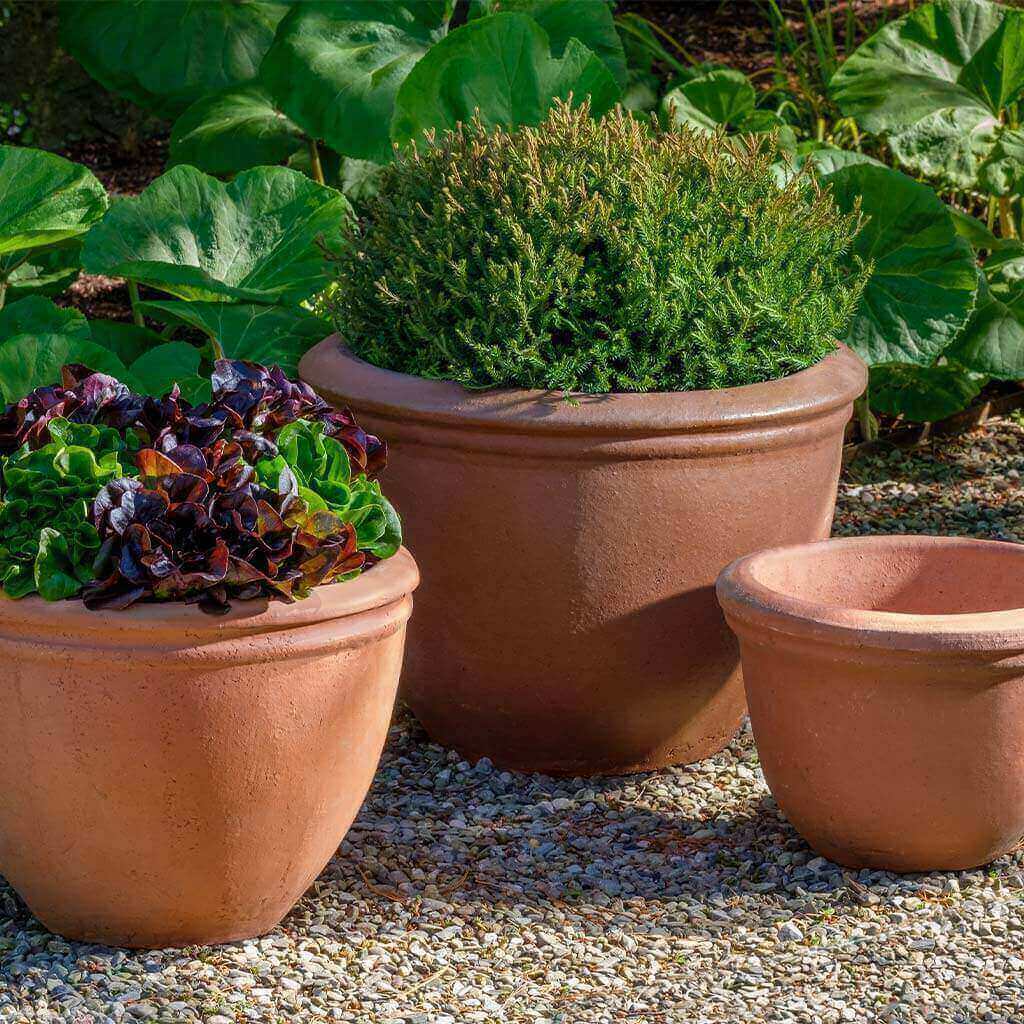 large rustic pots for plants Campania Kaili Planter - Natural Rustic