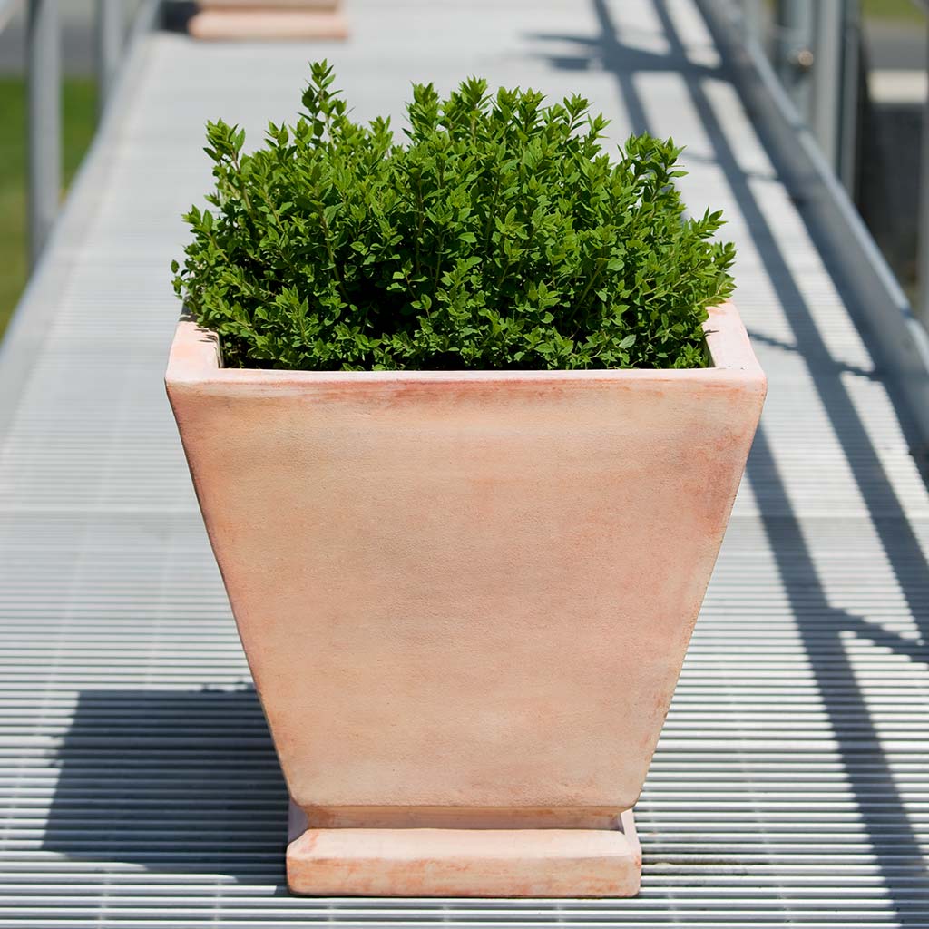 square clay pots for plants Campania 342114-2402 Lisburn Planter