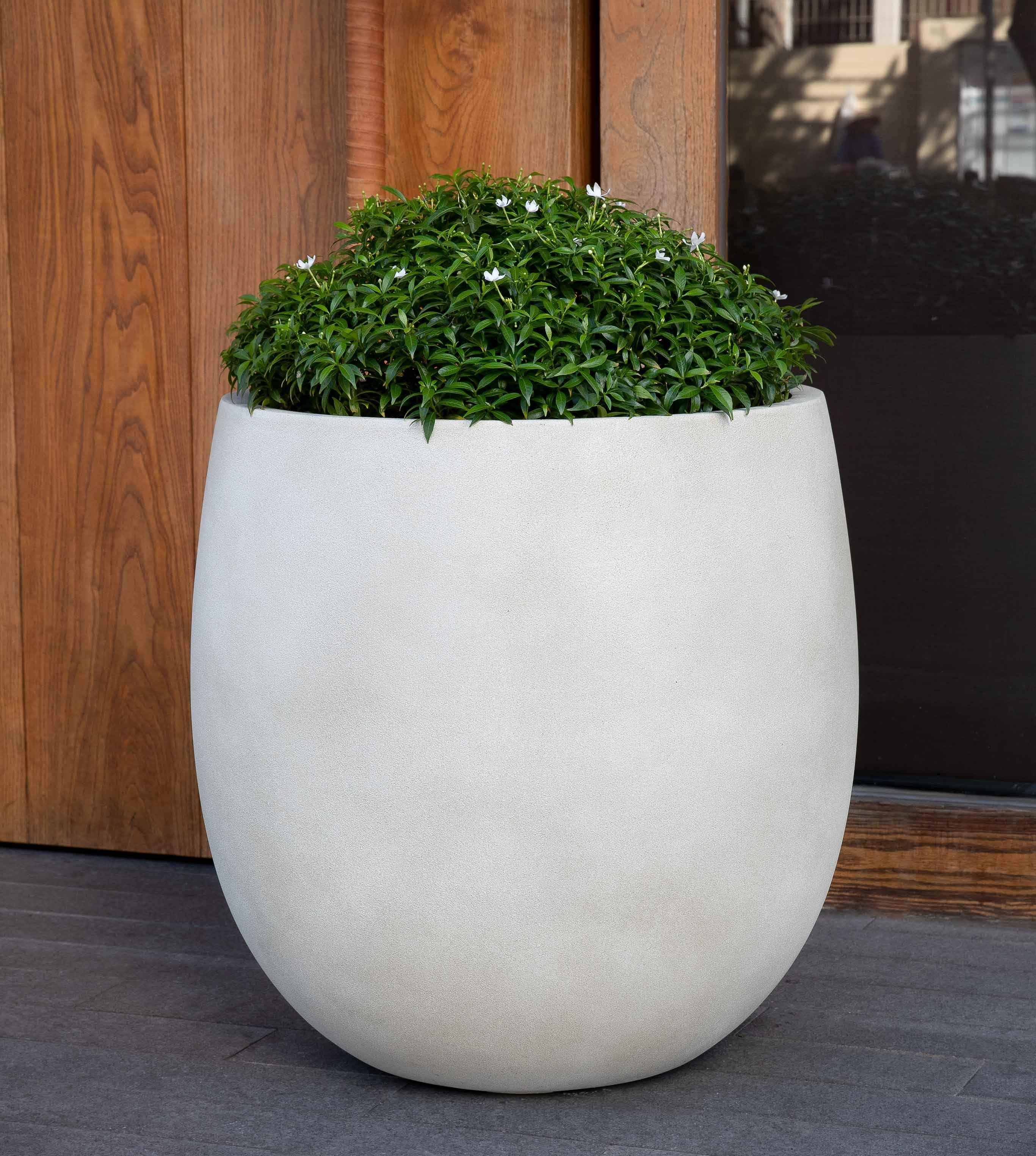 white plant pots outdoor Guilford Planter, Small Campania International Ivory Lite