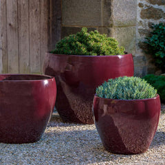 Cabachon Planter - Agave - S/3