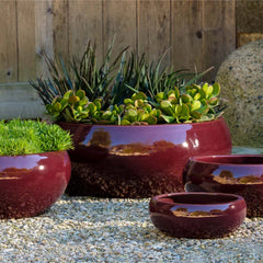 Sasha Planter - Limon - S/4