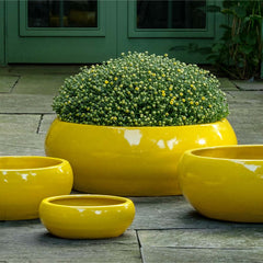 Sasha Planter - Agave - S/4