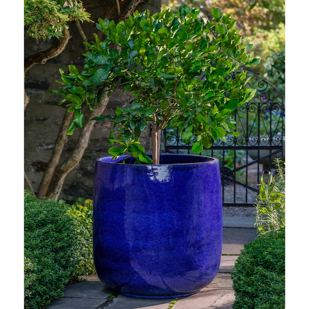 Caixa Planter, Extra Large - Sapphire - S/1