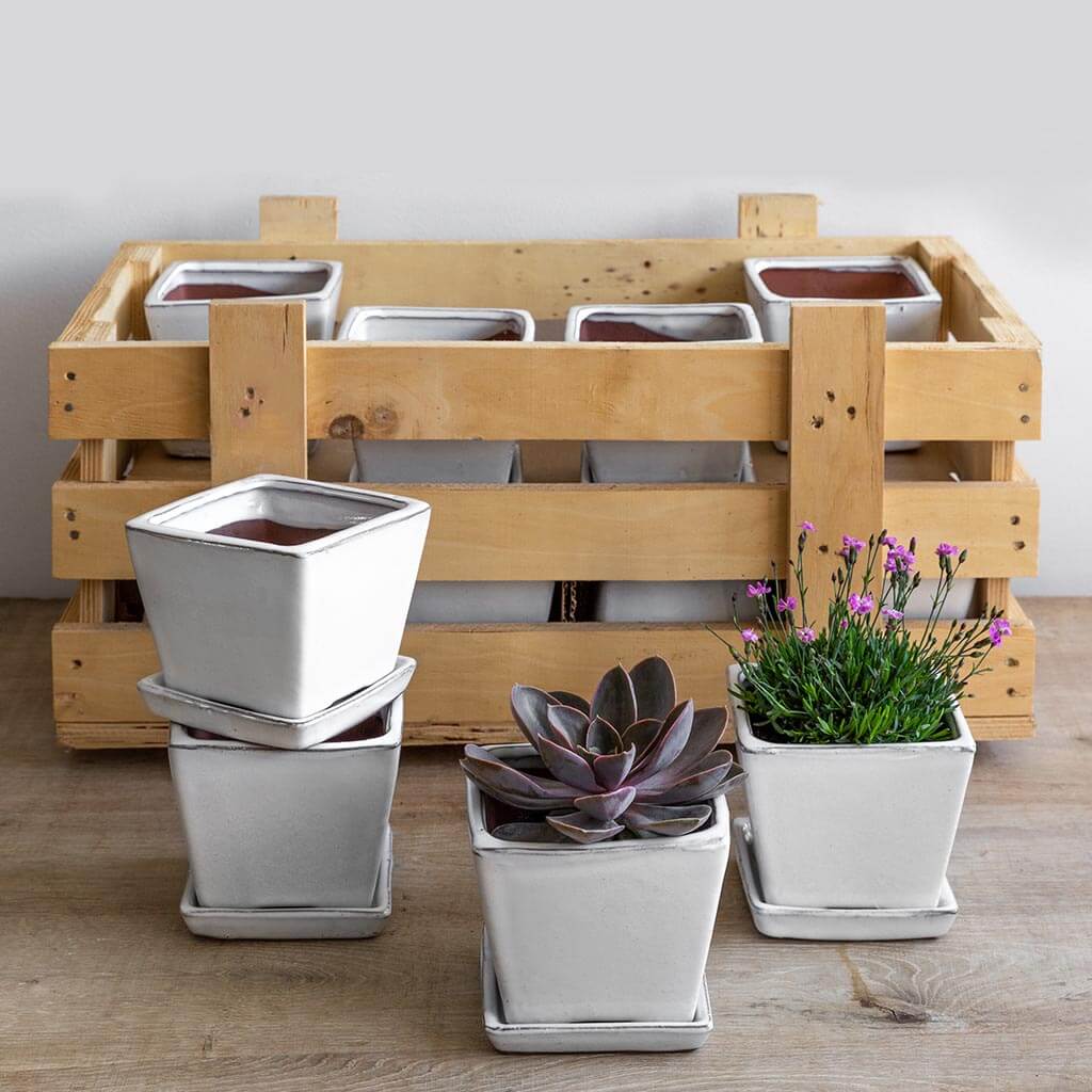 Campania Garden Terrace Small Square White Crate (S/16)