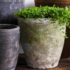 Campania Tall Cylinder Farmer's Pot - Cotswold White - Set of 12