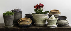 Campania Tall Cylinder Farmer's Pot - Mixed - Set of 16