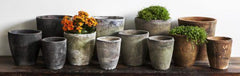 Campania Tall Cylinder Farmer's Pot - Mixed - Set of 16