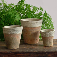 Campania Tall Cylinder Farmer's Pot - Cotswold White - Set of 12