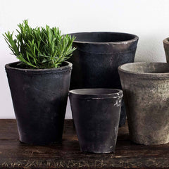 Campania Farmer's Pot Tall Tapered - Mixed - Set of 24
