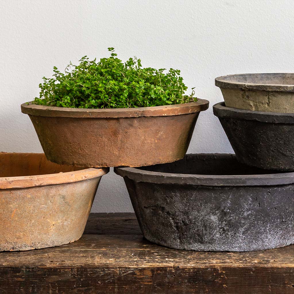 Campania Farmer's Pot Tapered Cylinder Set of 12