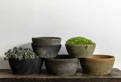 Photo of Campania Farmer's Bowl - Set of 12 - Marquis Gardens
