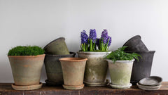 Campania Tall Cylinder Farmer's Pot - Cotswold White - Set of 12