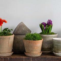 Campania Tall Cylinder Farmer's Pot - Mixed - Set of 16