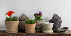 Campania Tall Cylinder Farmer's Pot - Mixed - Set of 16