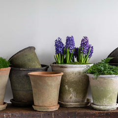 Campania Large Tapered Farmer's Pot Mixed Set of 16