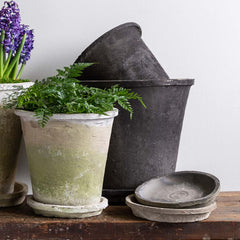 Campania Large Tapered Farmer's Pot Mixed Set of 16