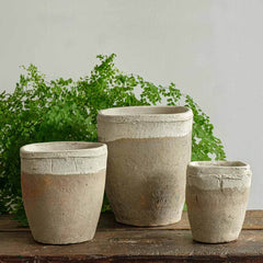 Campania Farmer's Pot Squared Cylinder - Mixed - Set of 24