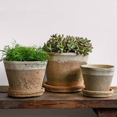 Campania Tall Cylinder Farmer's Pot - Cotswold White - Set of 12