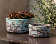 Photo of Campania Anh Bowl - Set of 8 - Marquis Gardens