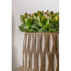 Campania Parabola Large Round Planter - Set of 8