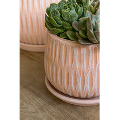 Campania Parabola Large Round Planter - Set of 8
