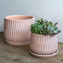 Campania Parabola Large Round Planter - Set of 8
