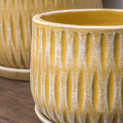 Campania Parabola Large Round Planter - Set of 8