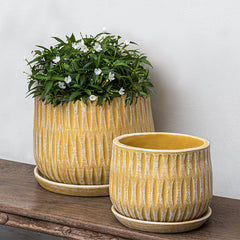 Campania Parabola Large Round Planter - Set of 8