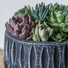Campania Parabola Large Round Planter - Set of 8