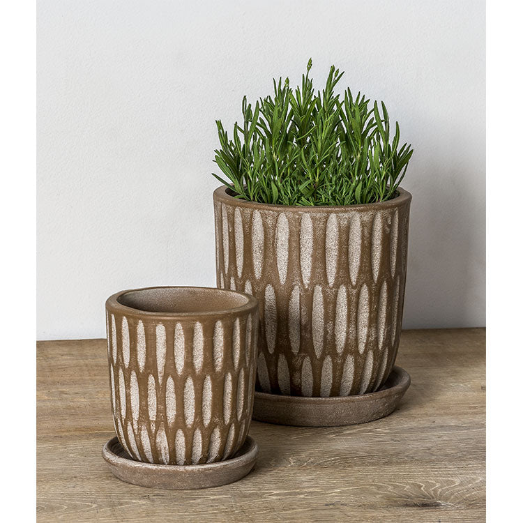 Photo of Campania Parabola Planter Set of 8 - Marquis Gardens