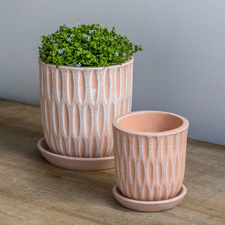 Photo of Campania Parabola Planter Set of 8 - Marquis Gardens