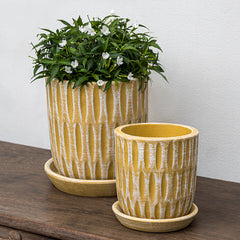 Photo of Campania Parabola Planter Set of 8 - Marquis Gardens