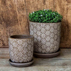 Campania Marguerite Round Planter - Set of 8