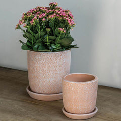 Campania Marguerite Round Planter - Set of 8