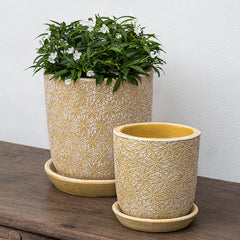Photo of Campania Marguerite Round Planter - Set of 8 - Marquis Gardens