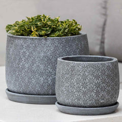 Campania Marguerite Round Planter - Set of 8