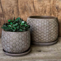 Campania Marguerite Round Planter - Set of 8