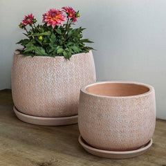 Campania Marguerite Round Planter - Set of 8