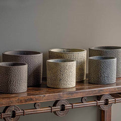 Campania Bird Tracks Cylinder - Assorted Glaze - Set of 12