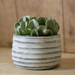Campania Etage Planter Small - Grey and Whitewash - Set of 6