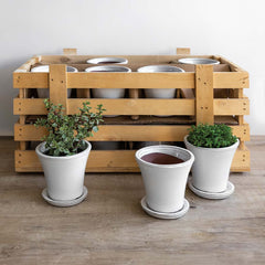 Campania Audrey Planter Set of 16