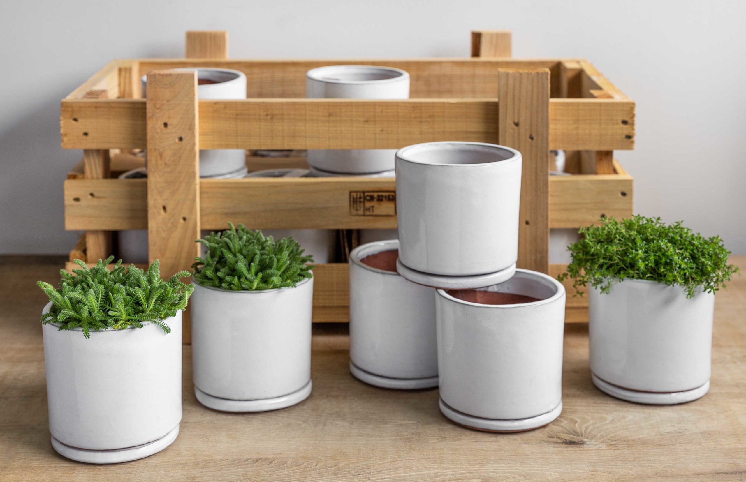 Photo of Campania Small Cylinder Planter Crate Set of 16 - Marquis Gardens