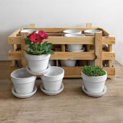 Campania Garden Terrace Small Round Crate Set of 16