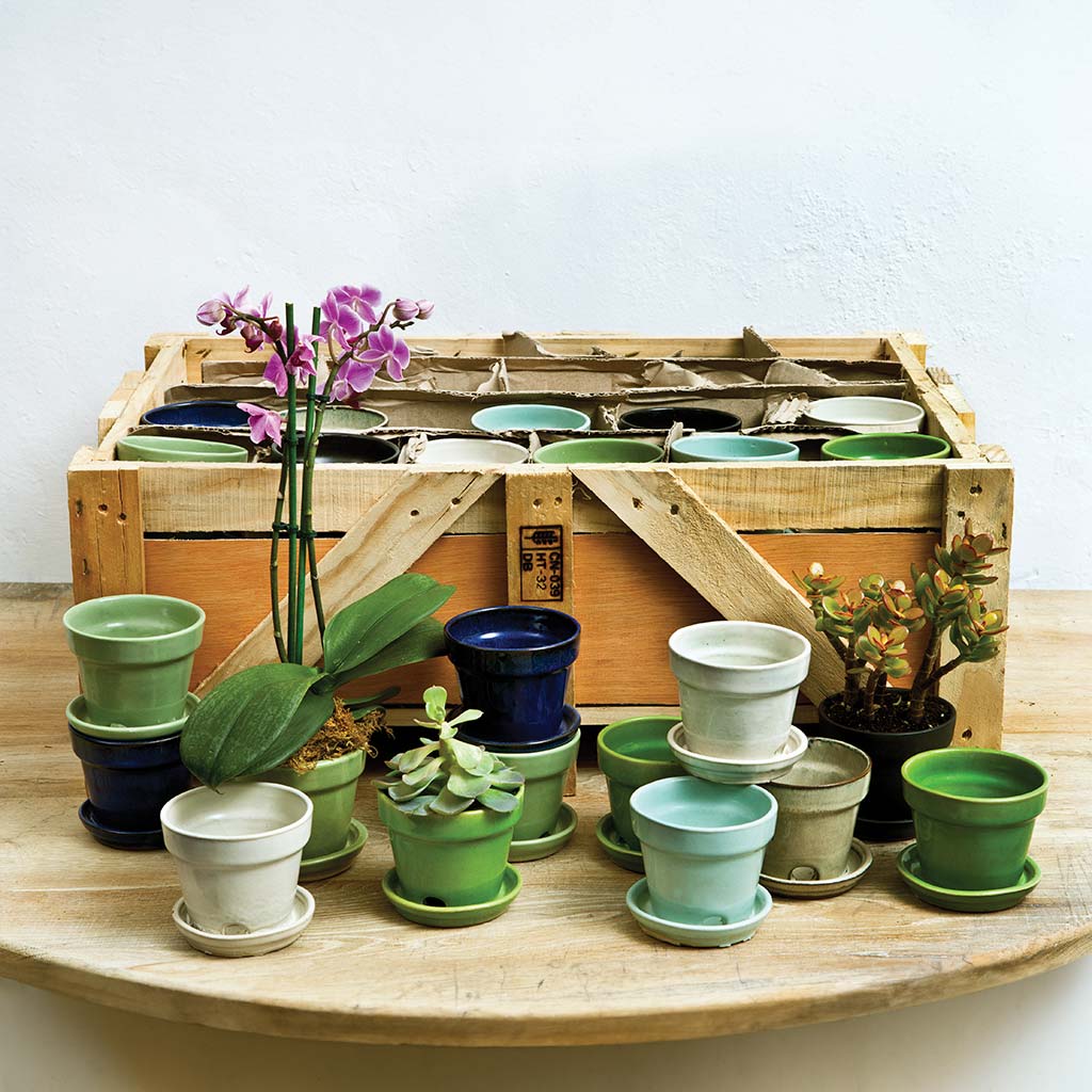 Campania Garden Terrace Crate of 48 - Assorted Glaze
