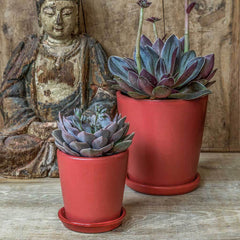 Campania Nikki Planters Set of 16