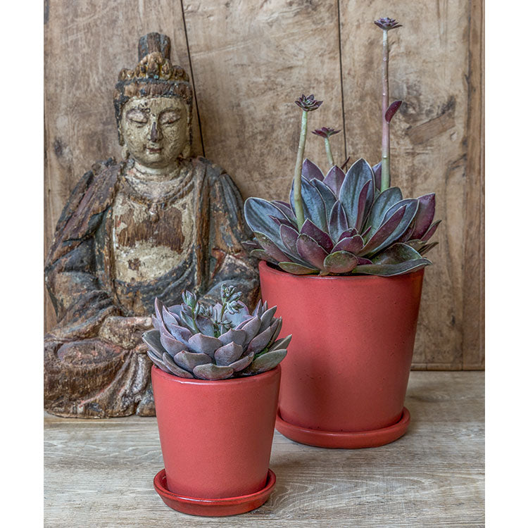 Photo of Campania Nikki Planters Set of 16 - Marquis Gardens