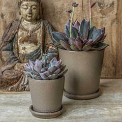 Campania Nikki Planters Set of 16