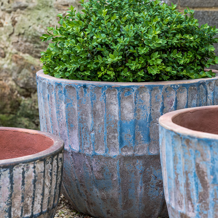 Photo of Campania Velia Planter Set of 3 - Marquis Gardens