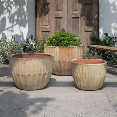 Campania Velia Planter Set of 3